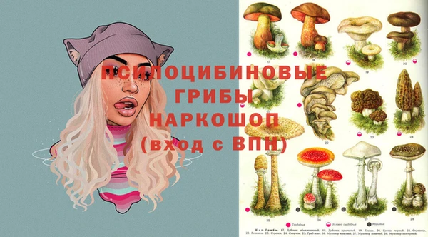 метадон Беломорск