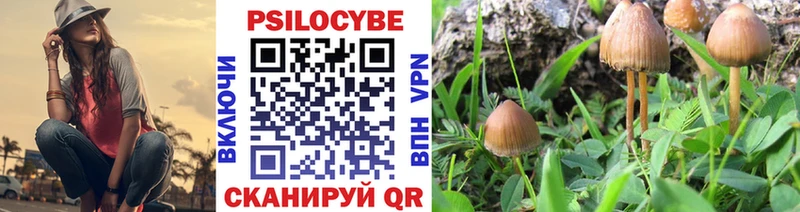 купить наркотики цена  Малоярославец  Псилоцибиновые грибы Magic Shrooms 
